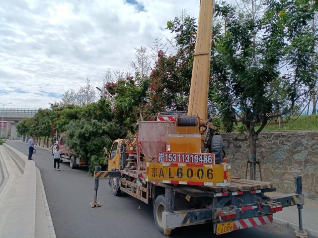 绿化工程施工