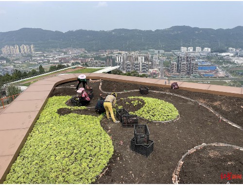 松滋城市绿化建设有限公司