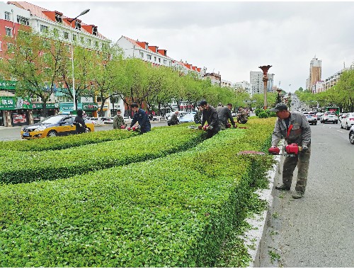 明光绿化市容林业网