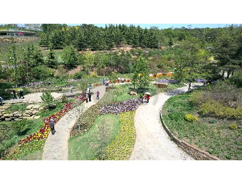 吉首绿化苗木花卉市场在哪里