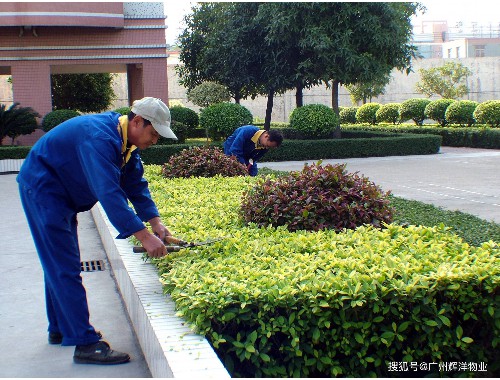 保定城市绿化管理局