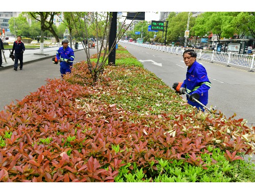 三明要干市政绿化工程需要什么条件